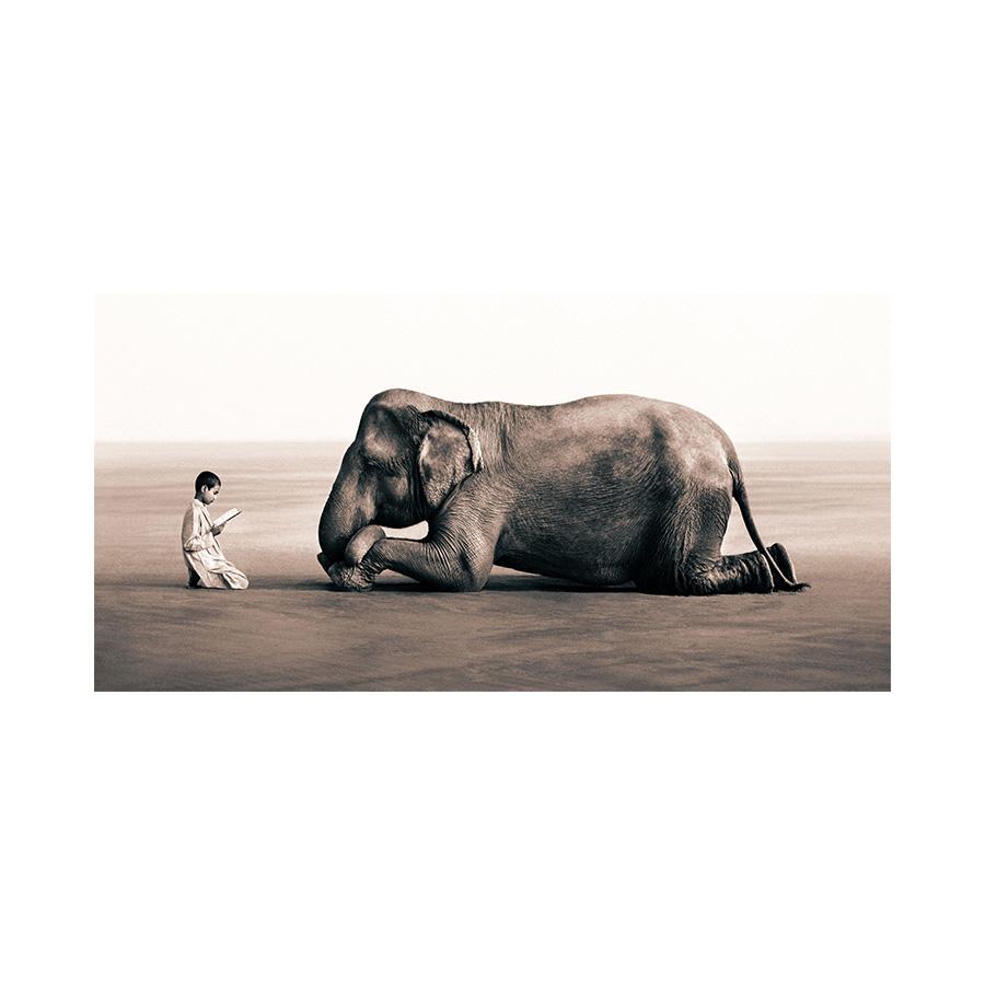 

Мальчик читает слону Картина на холсте Пепел и снег Постеры и принты Настенное искусство Животные Картины для гостиной Домашний декор 40x80cm