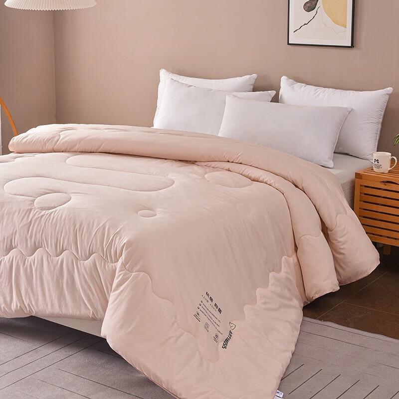 Soybean Fiber Warm Winter Quilt