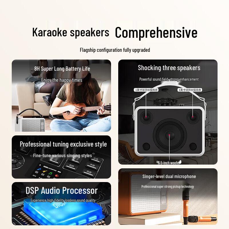 BBS P6 Portable KTV Speaker