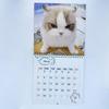 One Month to View 2026 Cat Calendar Memo Planner Monthly & Daily Planner Cute 2026 Wall Calendar