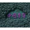 Li Ning Jackets & Coats Men's Cloud Emerald Green AFDUC17-2