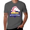 Salvatore Stallions Legacies Tvd The Originals Tshirt Casual Loose Short Sleeve Tee For Unisex