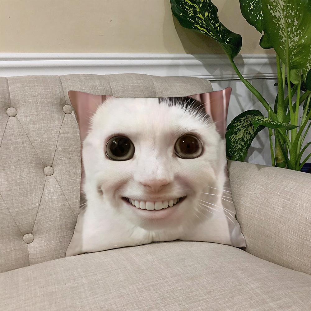 cushion Funny cover Square Sofa Cushion Meme Cover Casual Cat Skin-Friendly Comfortable Pillow Cover