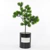 1Pc Artificial Guest-Greeting Pine Tree Plant Home Decorative Bonsai Ornament