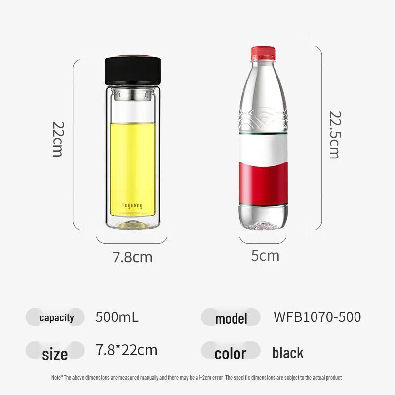 FUGUANG Double Wall Glass Tea Bottle with Infuser