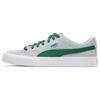 Suede Skate Nitro Low Top Skate Shoes Unisex Sneakers Gray Green 386082-10