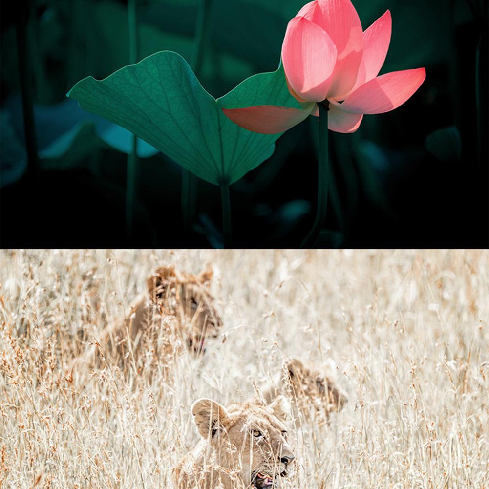 Professional Astronomical Telescope Anti-cosmic Ray Coating Portable HD Monocular Powerful Telescope for Star Observation