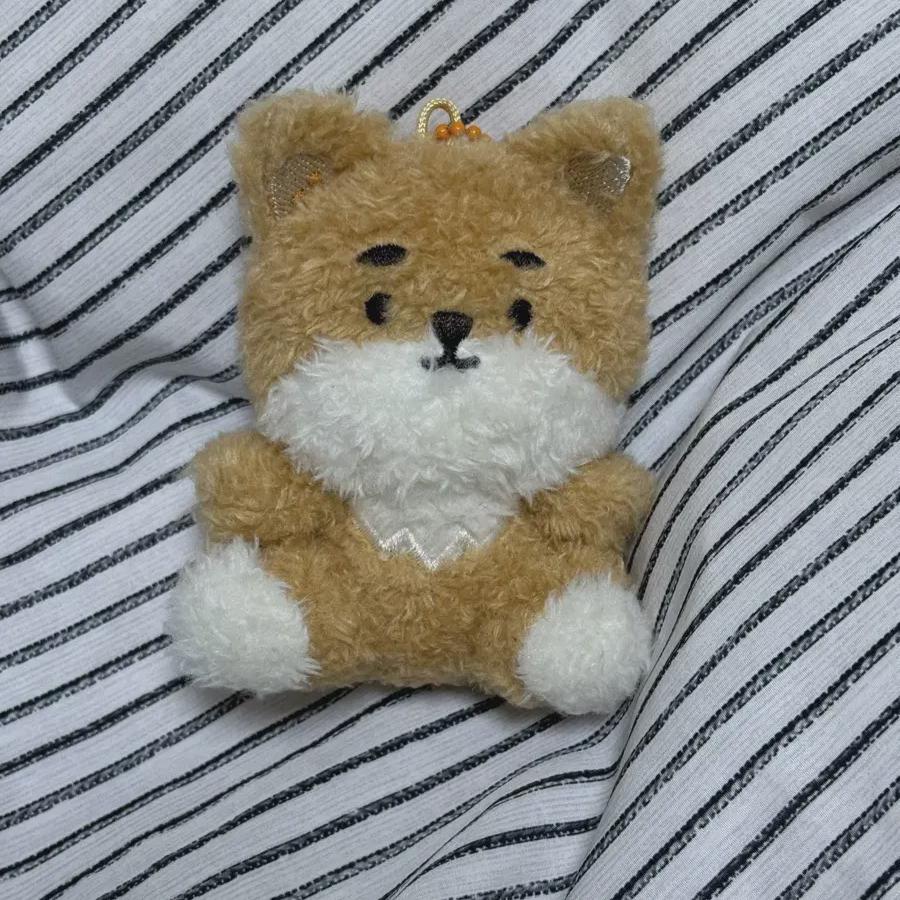 

Daysix Petitmels Seated