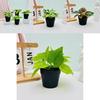 Mini Fake Plant Pot With Silk And Plastic Materials For Office Desk And Bedroom