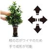 Domestic Carefully Selected Shikimi Japanese Artificial 2 Buddha SOKA SGI Academic Society Quality, Texture, Cypress, Flowers, Approx. 28.5cm, Pieces,
