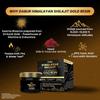 Dabur Himalayan Shilajit Gold Resin 20g With 7 Ayurvedic Boosters For Strength And Stamina