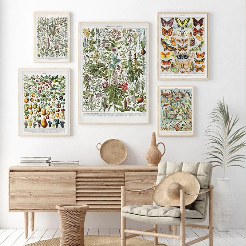 Arte Murale Classica Vintage Piante Fungo Fiore Medicinale Insetto Farfalla Verdura Zucca Carota Tela Poster ad Olio e Stampe