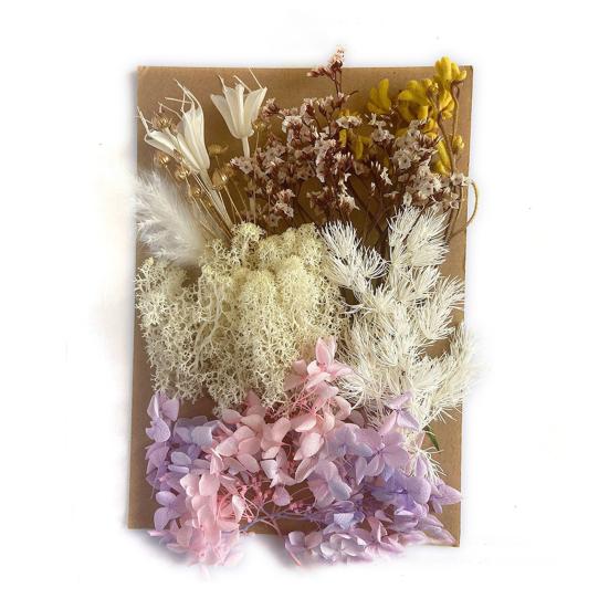 Nützliche Trockenblumendekoration, auffällige, leicht zu pflegende helle Farbe