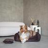 Denzoo Milano Brown Orthopedic Dog Bed "S" 70X50 Playpen Sofa Bedding