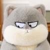 New Style of Cat Plush Toys Toys Kitten Doll Children's Companionship Doll