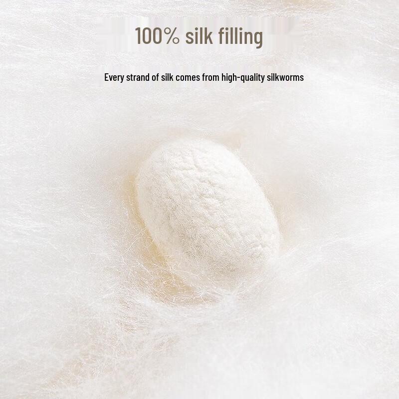 Can Hua Niang Niang Double Size Detachable Mulberry Silk Quilt