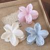 Farbverlauf Frangipani Haarspange Damen Vielseitig Süß Resort Fee Haifisch-Clip Vintage Haaraccessoires