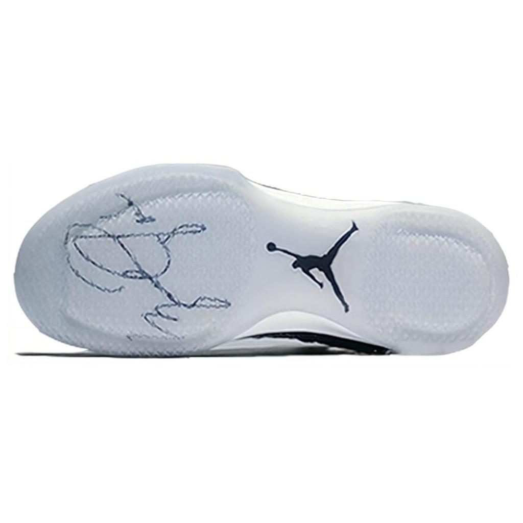 Jordan XXX1 Fine Print 845037-003