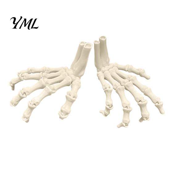 Decoraciones de Esqueleto de Plástico Duradero Manos de Halloween, Modelo de Huesos de Mano Impreso en 3D, Atrezzo Realista para Fiesta Garra de Hueso Espeluznante para Decoración del Hogar