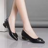 Pointed High Heels Women's Thick Heel Spring New Low Heel Medium Heel Women's Shoes Soft Leather Not Tired Feet Shallow Mouth Single Shoes