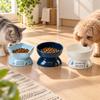 3 Pieces Pedestal Pet Feeding Bowl Elevated for Cats, Small to Medium Dogs