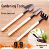 Mini Bonsai- und Sukkulenten-Schaufelset - 3-teiliges Gartengeräte-Set zum Pflanzen und für den Gartenbau