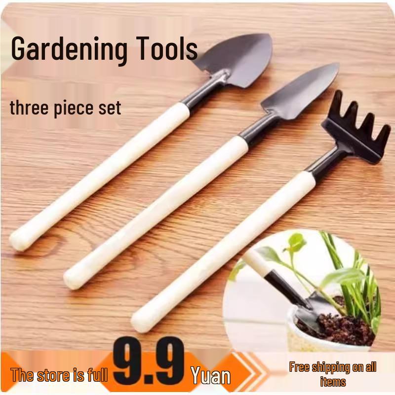 Mini Bonsai- und Sukkulenten-Schaufelset - 3-teiliges Gartengeräte-Set zum Pflanzen und für den Gartenbau