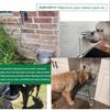 Stainless Steel Automatic Water Dispenser for Dogs - Farm Livestock Cattle Horse Goat Sheep Drinking Bowl