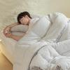 HLA Antibacterial Thickened Wool Winter Duvet