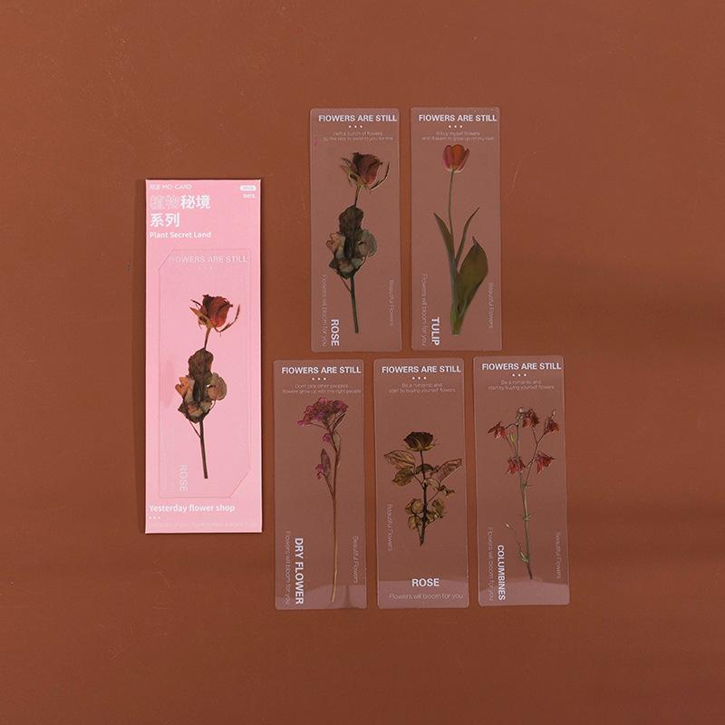 5Pcs PET Transparent Plant Leaf Bookmark Nature Botanical Leaves Book Marker for Reading Journal DIY Decor Supplies
