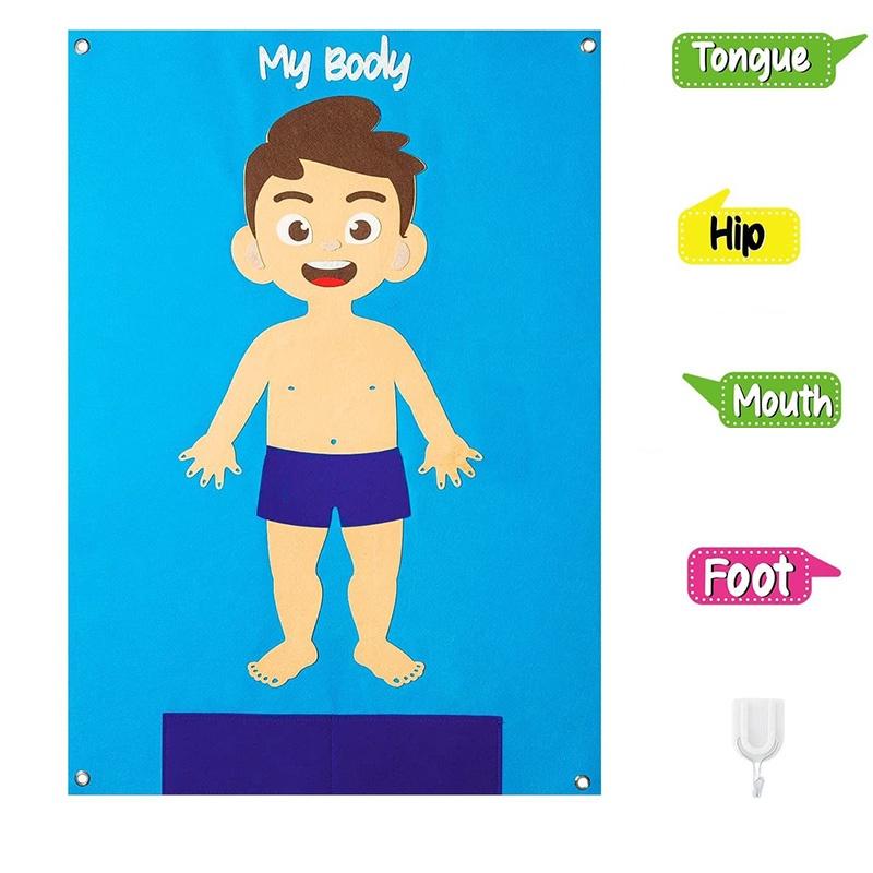 

Kids Felt Body Structure Puzzle Board With Organ Images
