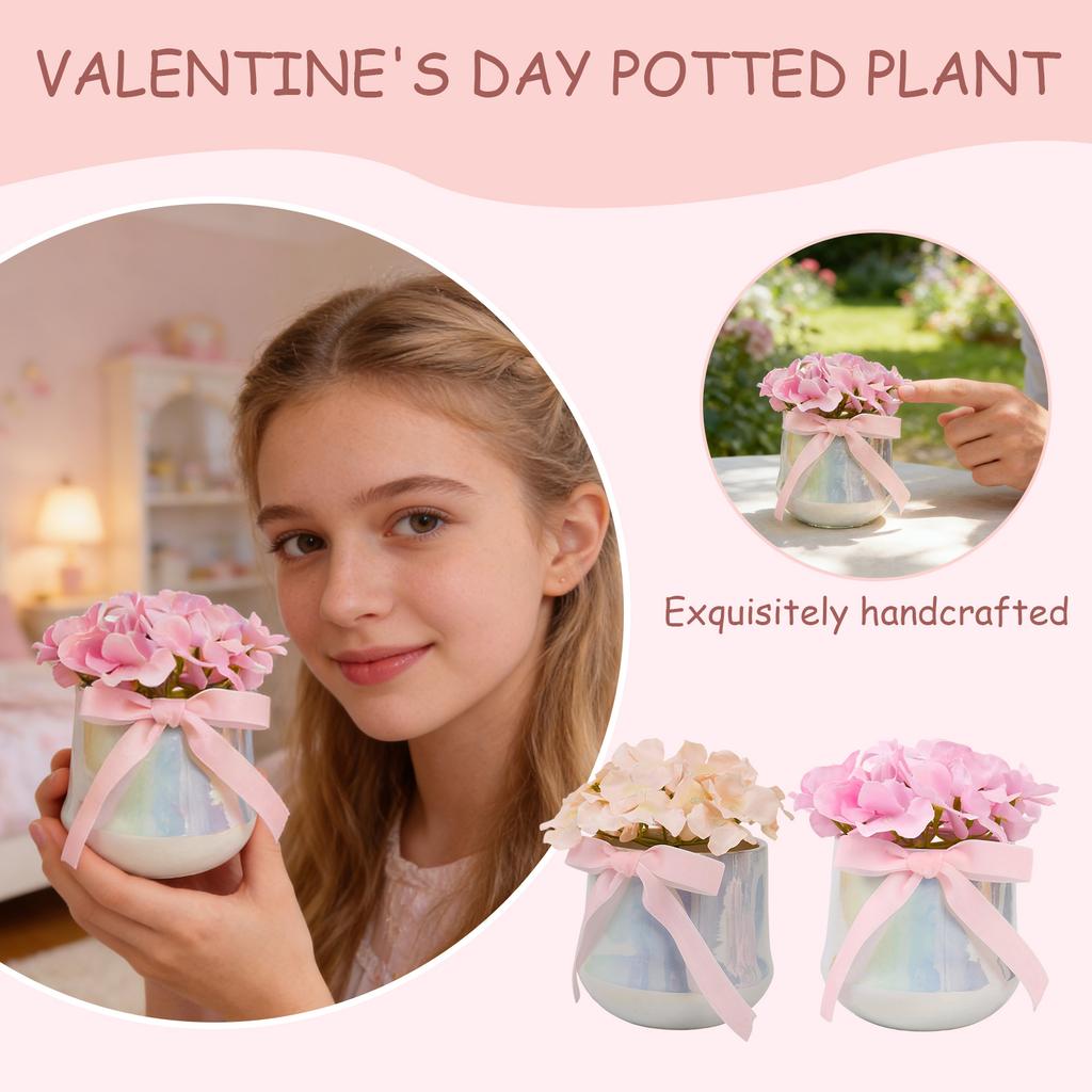Festive Hydrangea Potted Plant, A Gift For Friends And Holiday Decoration