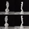 Resin Venus Statue Goddess Norse Home Studio Decor
