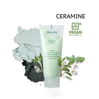 Transforming Clay Pack 100ml
