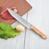 Camping Wooden Handle Grilling Tool Set