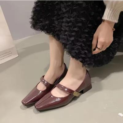 2025Stylish Square Head Shallow Sole Women's Spring Autumn New Style French Night Vintage Commuting Low Heel Mary Jane Shoes