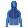 Regatta Childrens/Kids Kielder Hybrid VII Padded Jacket