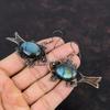 Labradorite Copper Earring Copper Wire Wrapped Jewelry Fish Gemstone Earring Handmade Antique Jewelry Wire Wrapped Earrings Gifts For Friend
