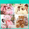 Klassisches Teddybär Plüschtier mit PP-Baumwollfüllung für Kinder und Erwachsene Geschenk