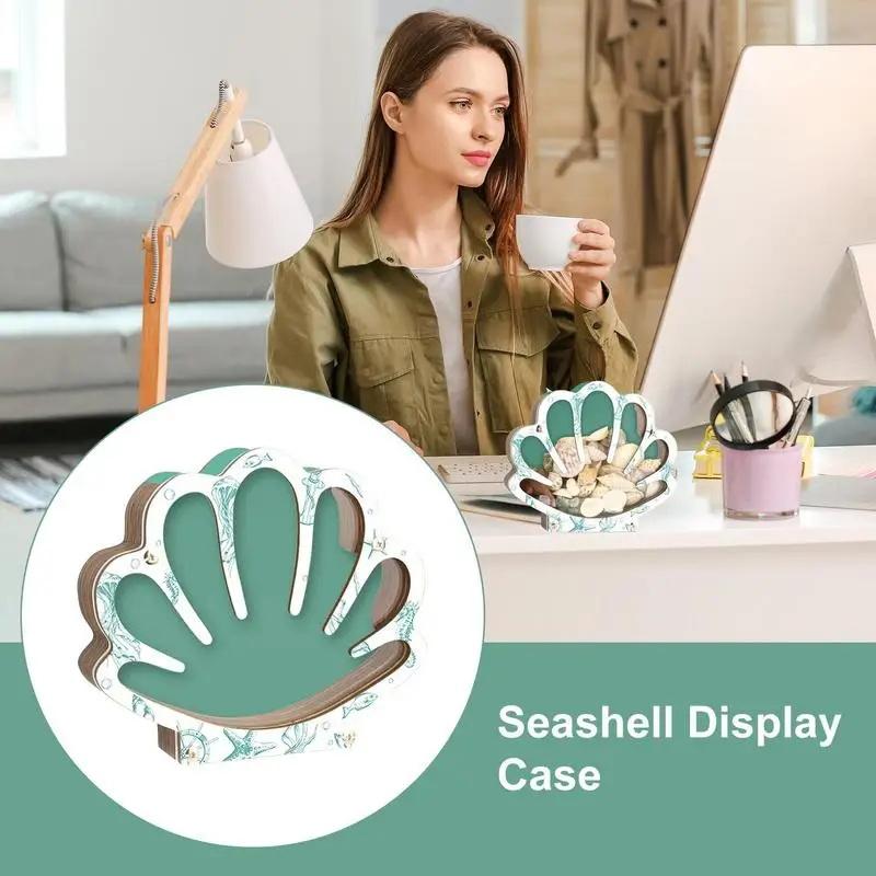 Seashell Container For Display Portable Seashell Display Decorative Wooden Clear Portable Holder For Exhibiting Kids Beach