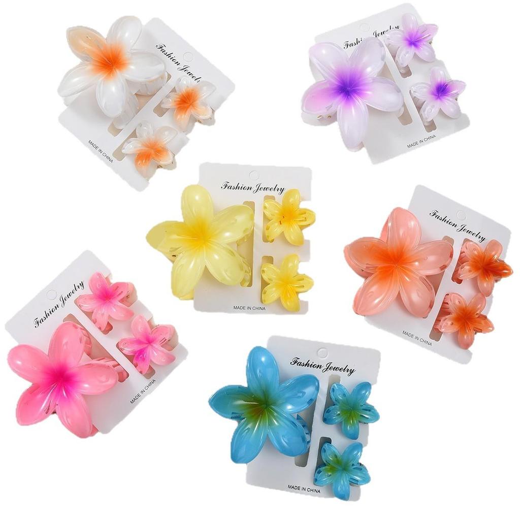 Gradient Plumeria Claw Clip Set: 18-Piece Floral Hair Accessories