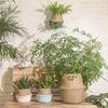 Seagrass Wicker Basket Wicker Basket Flower Pot Folding Basket Dirty Basket 