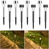 Solar Stainless Steel Garden Path Light