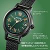 Citizen Wicca KH4-947-41 Wicked Elphaba Special Edition Solar Tech Watch Waterproof Analog Women's Black Green
