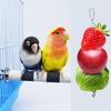 Parrot Fruit Holder Bird Feeder Outside Bird Feeders Hanging Vegetable Stick Suitable for Chinchillas Hamsters