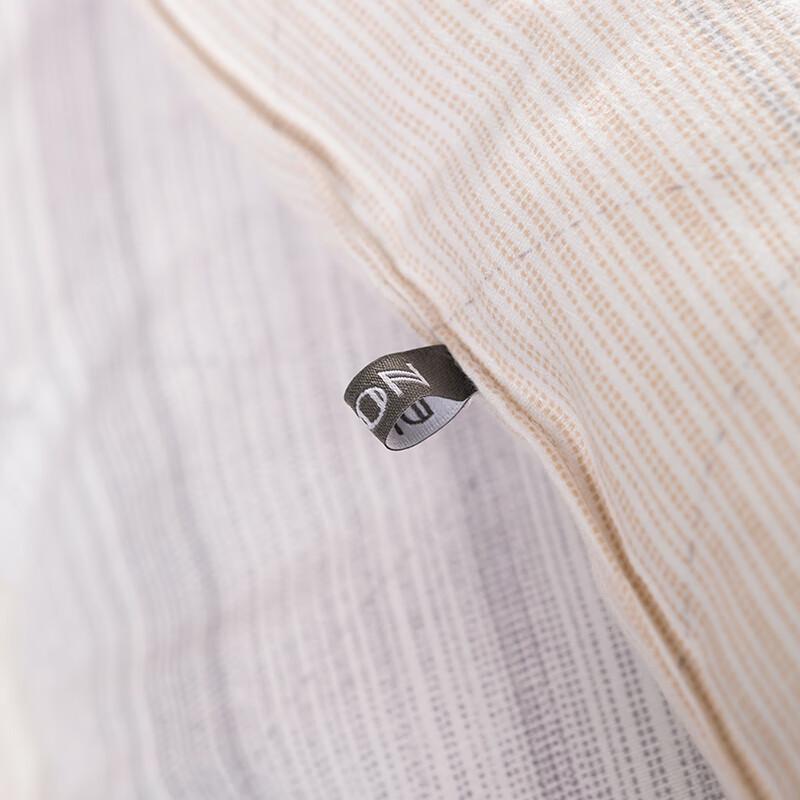 Dairuolun Cloud Velvet Winter Quilt