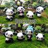 8pcs