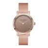 Larsson & Jennings Larsson British Simple 40Mm Mesh Steel Strap Waterproof Quartz Watch 791