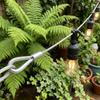 1/10M Stainless Steel Wire Canopy Rope DIY Pull Cord Wire Ropes Fishing Lifting Cable Hanging Clothes Rustproof Hardware Tools