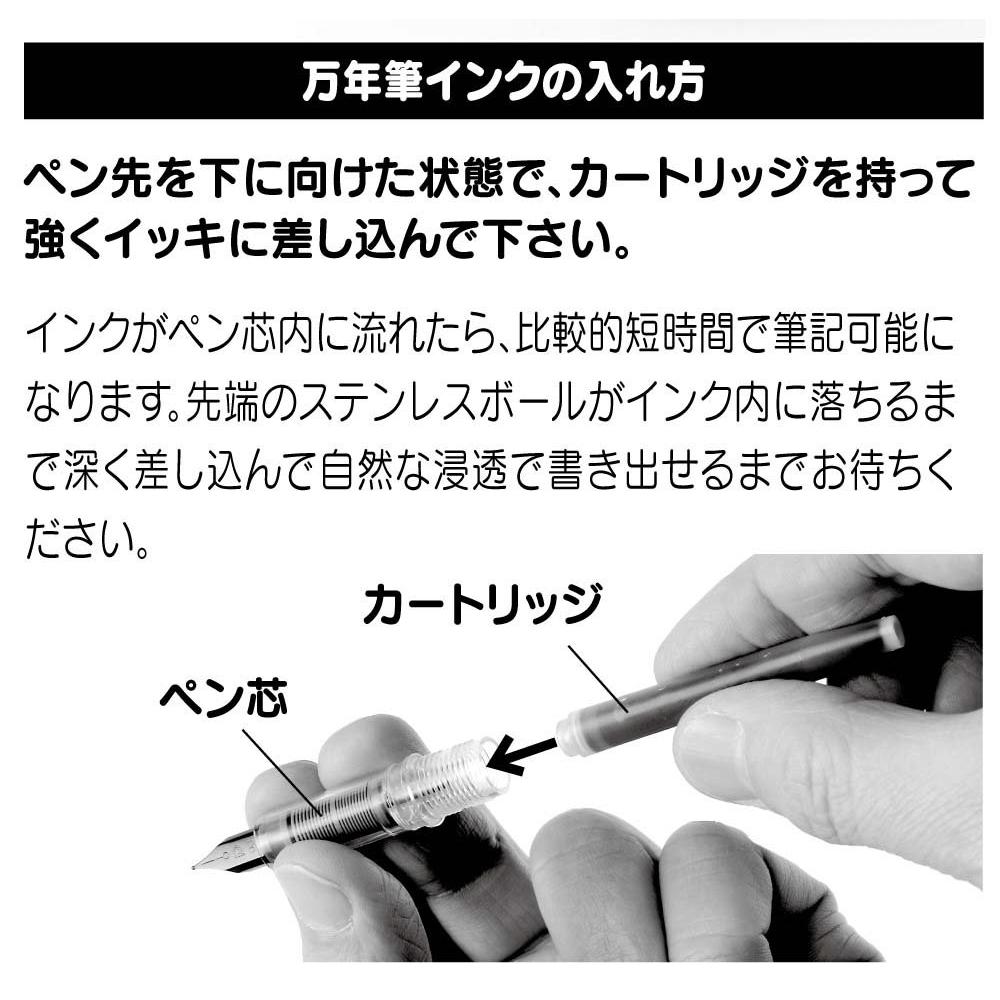 Platinum Fountain Pen Plaisir Medium Nib PGB-1000B [All 2 Colors]